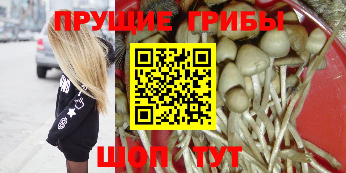 Галлюциногенные грибы Cubensis Жуковский