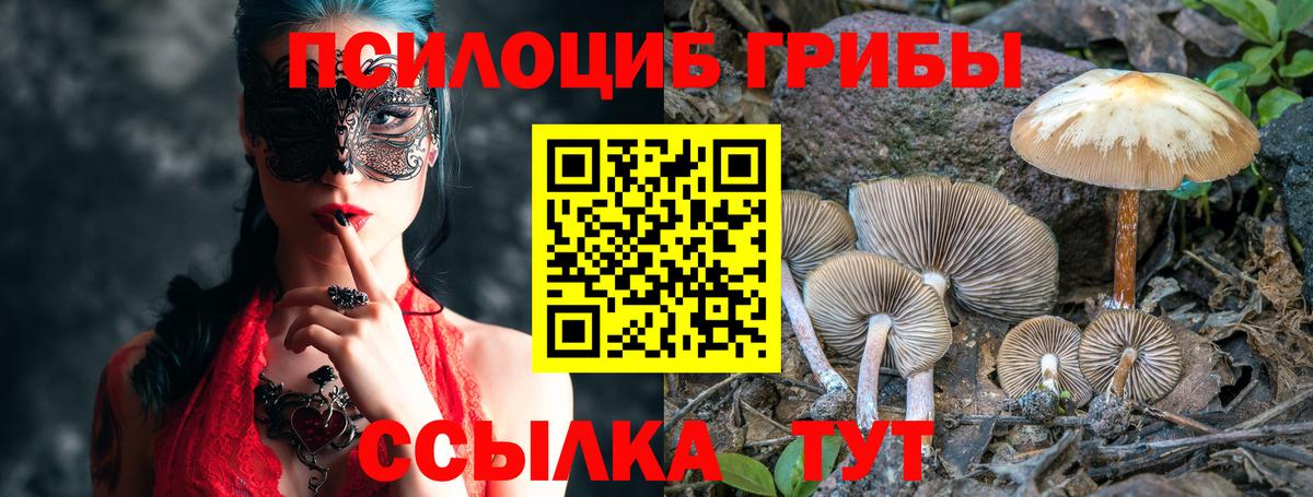 Галлюциногенные грибы Psilocybe  Псилоцибиновые грибы ЛСД  Вход с VPN  Жуковский 